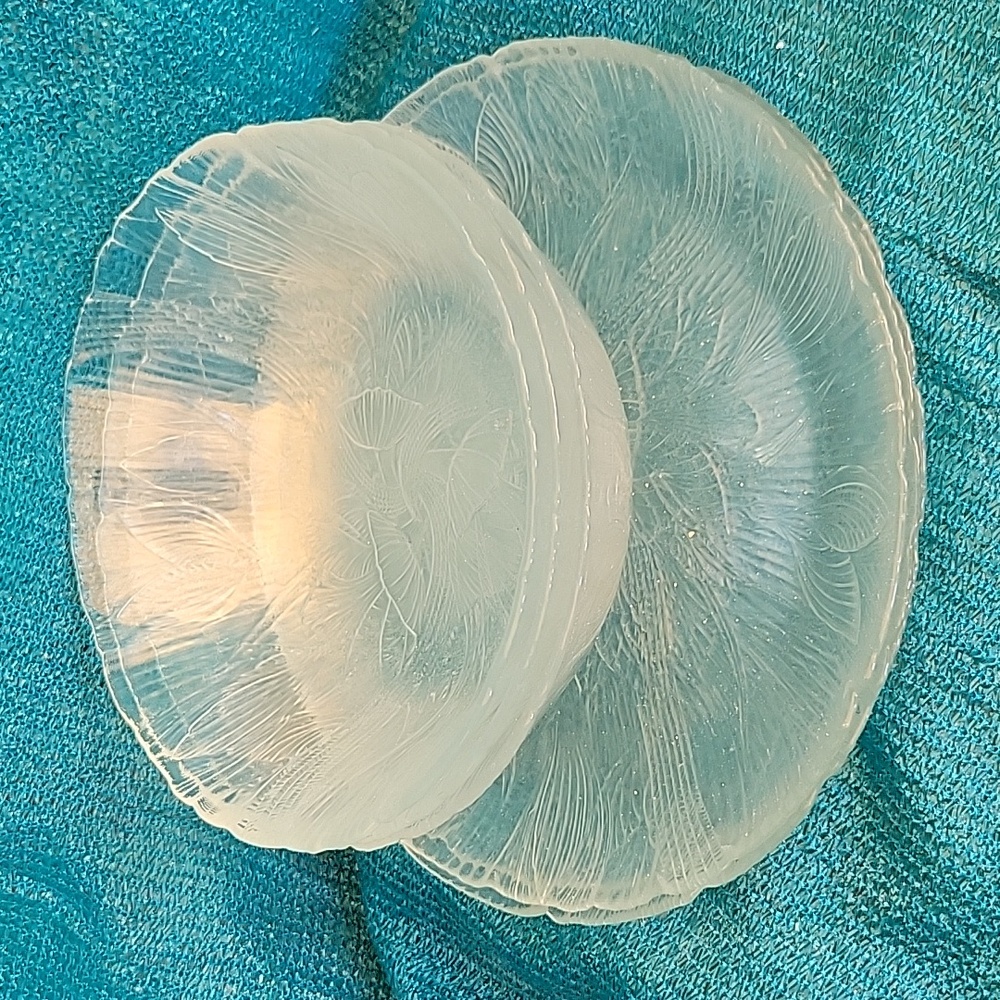 Vintage French Set of "Canterbury Crocus" Glass Bowls & Plates Arcoroc 6 pieces